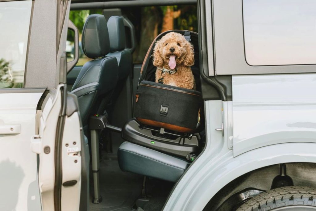 autostoel maeve dierenbescherming voor honden en katten
